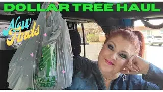 NEW DOLLAR TREE HAUL | NEW GOODIES | March 21, 2024