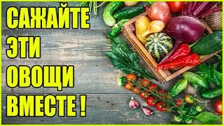 ДЛЯ БОГАТОГО УРОЖАЯ САЖАЙТЕ ЭТИ РАСТЕНИЯ ВМЕСТЕ (2 часть)! УРОЖАЙНОСТЬ +100% Что с чем сажать?