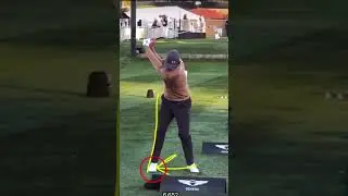 Adam Scott Golf Swing