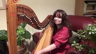 You’ll be in my Heart - Tarzan (harp cover)