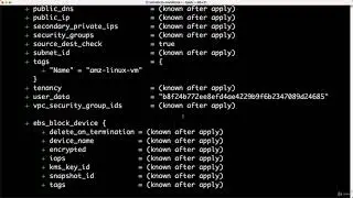 65. Verify the AMI ID by executing terraform plan