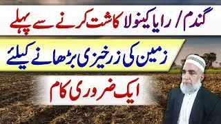 How to increase Fertility of Soil before cultivation of Next crop || Crop Reformer