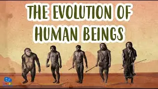 THE EVOLUTION OF HUMAN BEINGS | Human Evolution | Educational Videos for Kids