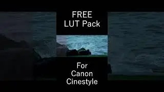 FREE LUTS for Canon Cinestyle