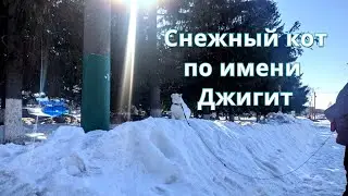 Снежный кот по имени Джигит