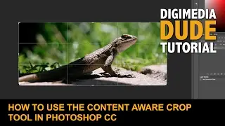 How To Use The Content Aware Crop Tool In Photoshop CC