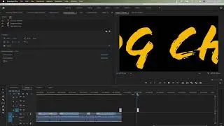 EXPORT Graphic With TRANSPARENT BACKGROUND in Premiere Pro