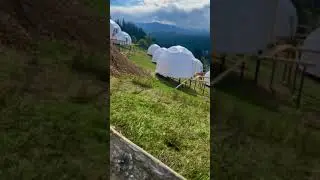 Birth of glamping, luxury domes, geodome, ecoPod