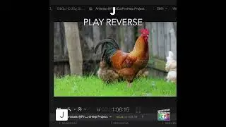 Final Cut Pro Shortcut | J | Play Reverse