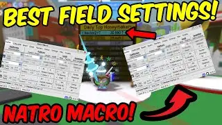 The *BEST* Natro Macro Pattern For Pine Tree Field | 2 Trillion per hour! (Bee Swarm Simulator)