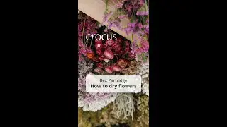 How to dry flowers with Bex Partridge