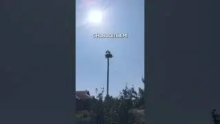 Энергетики после восстановления электроснабжения, помогли и пернатым соседям 