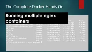 Part 4 of Chapter 3 - Running Multiple Nginx Servers