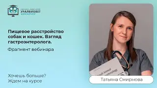 Фрагмент вебинара 