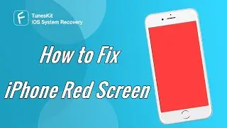 iPhone Screen Issues | How to Fix iPhone Red Screen of Death (4 Ways)