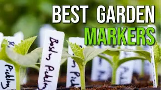 Best Garden Markers | What Is The Best Marker For Labelling Your Garden Seeds and Plants