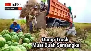 Ko Bisa Ya Libom Dump Truck Muat Buah Semangka Apa Ga Pada Rusak Semangkanya