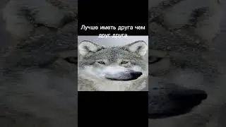 Лучше иметь друга чем друг друга☝☝