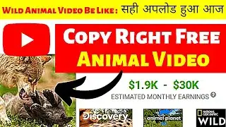 How to make copyright free animal videos | Copyright free animal videos copy paste kaise karen |