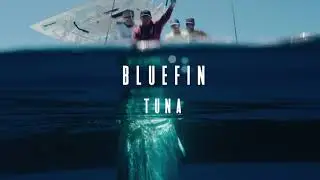 Trailer - BKK HOOK YOUR DREAM EXPEDITION: BLUEFIN TUNA - Wild Sea Expedition