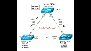 STP protocol part 1