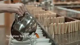 Largest biscuit domino topple - 5,000 Biscuit Domino Rally