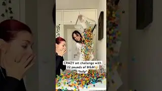 CRAZY art challenge with 22 pounds of M&M😳*help* 