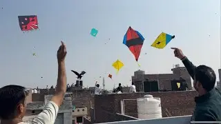 🤯Kite Fighting Vlog😍Desi Boy Flying Kite😱Kite Flying 😋#vlog 😂kite lover