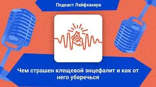 Чем страшен клещевой энцефалит и как от него уберечься | Подкаст Лайфхакера