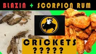 BLAZIN & SCORPION RUM BUFFALO WILD WINGS CHALLENGE! Loser eats the CRICKETS