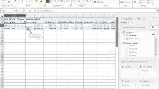 Excel 2013 Drill Down and Drill Up in PivotTable Data