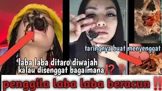 ngerii... ‼️ laba laba penyengat diletakan diwajah gak takut mbak⁉️#labalaba #akrobat  @pujichannel8155