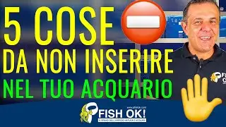 ⛔ 5 cose da non inserire nel tuo acquario