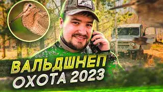 Охота на вальдшнепа 2023 VLOG