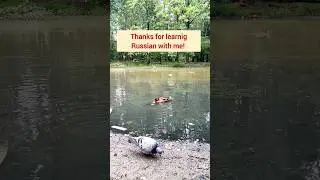 Learn Russian words while walking in the forest 