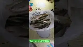 Секретная БОЛТУШКА