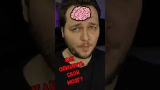 Иллюзия цвета | Оптическая иллюзия 