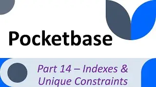 Understanding how to use Pocketbase - Part 14 - Unique & Indexes Constraints