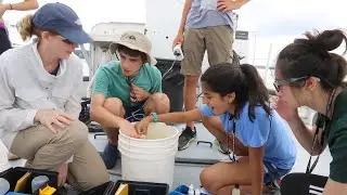 The Environmental Studies Summer Youth Institute (ESSYI)​ Short Recap