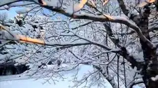 П. И. Чайковский. Ноябрь. 