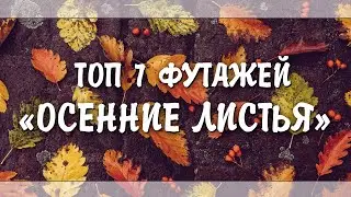 ФУТАЖИ С ЛИСТОПАДОМ | ФУТАЖИ ОСЕННИЕ ЛИСТЬЯ [БЕЗ АВТОРСКИХ ПРАВ]