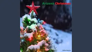 Arizona Christmas