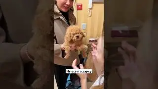 Я уже боюсь второго ребенка рожать😂чет это не так весело 