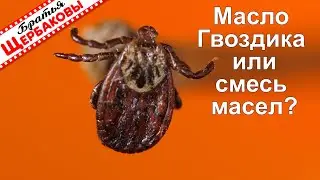 КЛЕЩЕЙ лучше ОТПУГИВАЕТ масло ГВОЗДИКА или СМЕСЬ масел Гвоздика +Лаванда?