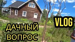 Дачный вопрос. Начало преображения участка_VLOG RuslanaSolo