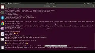 Flutter  Remote Support Available Here