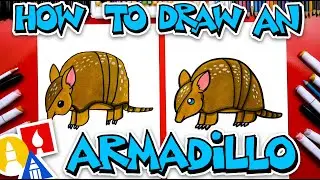 How To Draw An Armadillo