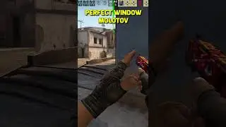 Perfect Window Molly on Mirage