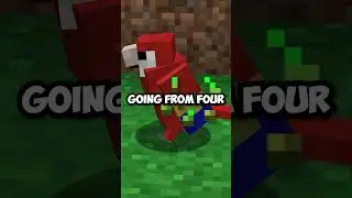 Minecraft Parrots Were A Mod First