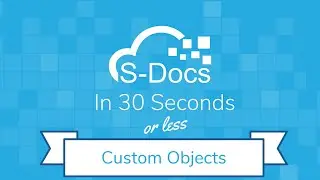 Custom Objects | S-Docs in 30 Seconds